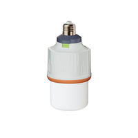 Éclairage d'urgence domestique, ampoule LED rechargeable à batterie amovible, haute luminosité, portable, pour camping, extérieur, nuit, urgence
