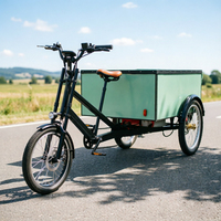 Tricycle de livraison électrique robuste à pédales, avec moteur, pneus larges, pour transport de marchandises