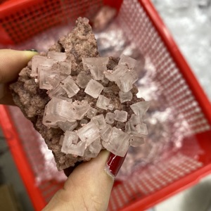 Vente en gros - Spécimen de cristal de quartz naturel rose Halite en grappe, idéal pour la décoration - Product Image 1