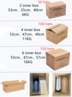 Gorra Trucker Estructurada al por Mayor con Logotipo Bordado Personalizado, Visera Curva Rígida, Malla Trasera, 6 Paneles, Gorra Trucker de Algodón