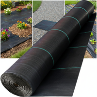 Rouleau de géotextile tissé noir en PP de 3 pieds x 30 m pour le contrôle des adventices et la protection des sols agricoles