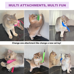 Vente en gros - Meilleures ventes : Canne à chat rétractable à trois sections avec têtes interchangeables et plumes pour le jeu des chats - Product Image 5