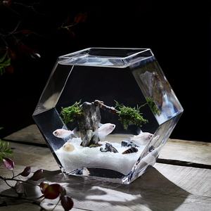 Creatieve en gepersonaliseerde glazen aquariums voor vissen, geometrische pentagonale miniatuur aquariums, zeer transparante desktop aquariums - Product Image 1