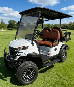 Voiturette de golf électrique 4 places promotionnelle du fabricant - Design compact, voiturette de golf électrique pour routes non publiques - Product Image 1