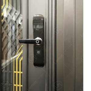 Porte <span class=keywords><strong>d</strong></span>'entrée blindée moderne en acier inoxydable antivol 36x80 – Vente directe usine en gros - Product Image 3