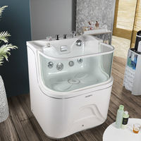 Petite baignoire à micro bulles pour le lavage et le surf des chats et des chiens
