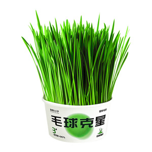 แคทกราสคัพ แฮร์บอลเอลิมิเตอร์ ไร้ดิน ทรงกลม MC002 รสผัก ขนมสำหรับสัตว์เลี้ยง - Product Image 5