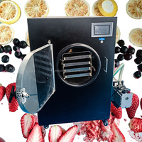 Industriële volautomatische SUS304 vacuümvriesdroogmachine, op maat gemaakte apparatuur voor het vriesdrogen van snacks, fruit en groenteschijfjes