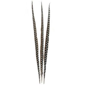 Plumes de carnaval brésilien authentique | Plumas faisan Ringneck pour <span class=keywords><strong>Samba</strong></span> - Product Image 1