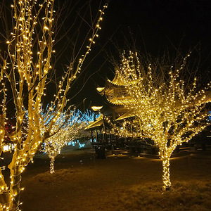 Luci di Natale a LED Impermeabili per Esterni, Catena Luminosa Natalizia a LED da 10m 20m 30m 50m 100m - Product Image 5