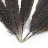 Plumas de cola de pavo salvaje natural a granel de 8-14 pulgadas al por mayor de bajo precio para decoración de festivales