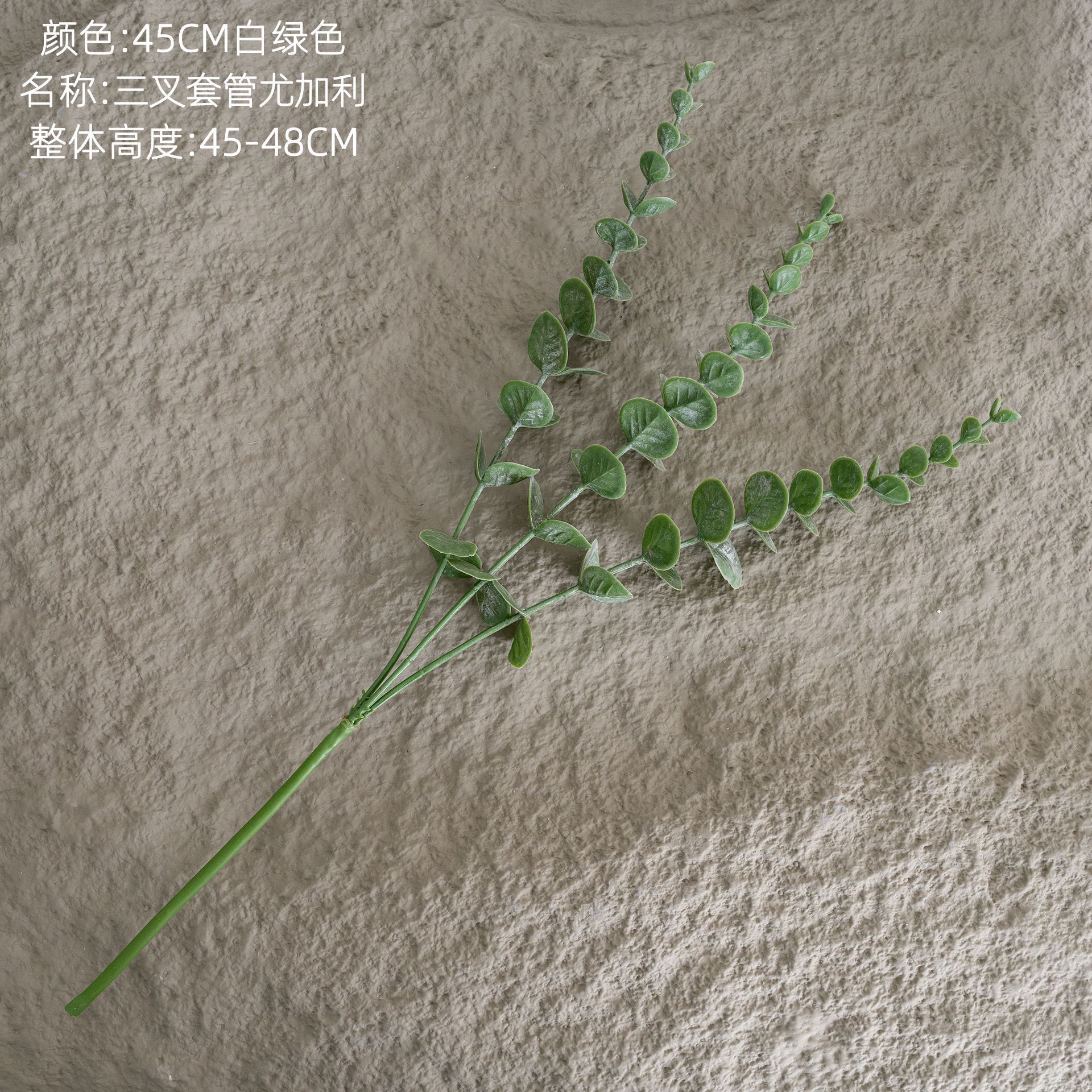 Blanc-vert, milieu de branche