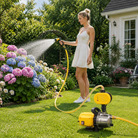 Pompe à eau portable 800W avec moniteur de pression électronique, débit de 3200L/h, hauteur de refoulement de 40m pour l'arrosage des serres