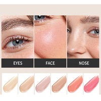 Highlighter Visage Oem Meilleur Vegan Éclat Maquillage Surligneur Liquide Haute Teneur en Pigment Marque Privée