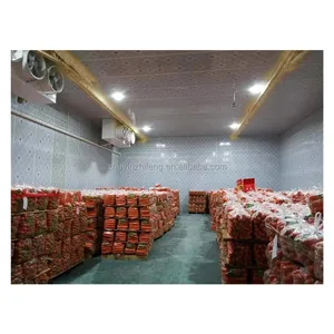 Chinese supplier meat and seafood commercial cold room