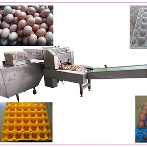Plateau à œufs automatique, pour stocker les œufs, machine d'emballage de haute qualité, prix d'usine, livraison gratuite - Product Image 2
