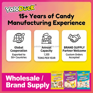 Bonbons en forme de cœur 30g, mini paquet, bonbons fantaisie, doux et moelleux, en vrac, OEM pour revendeurs, cadeau de la Saint-Valentin, YOLODUCK - Product Image 3