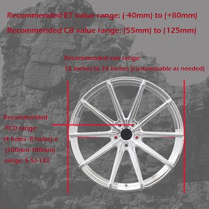 Jantes concaves personnalisées en argent forgé SS de 18 à 22 pouces pour Audi A7 Q2 Q3 <span class=keywords><strong>Q4</strong></span> Q5 <span class=keywords><strong>BMW</strong></span> E36 E46 E90 F30 G20 5x120 5x112 - Product Image 5