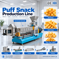 Mesin Ekstruder Snack Puff Multifungsi dari Baja Tahan Karat untuk Lini Produksi Makanan Jagung Beras Kapasitas 200 hingga 300 Kg Per Jam