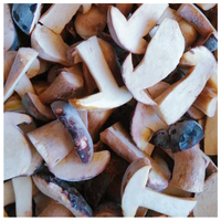 중국 야생 버섯 IQF 냉동 boletus edulis 운남