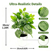 Tanaman Fittonia Buatan Kecil OEM dalam Pot Putih 39cm, Realistis, Ramah Lingkungan, Tahan UV, Tanaman Hias Meja untuk Rumah