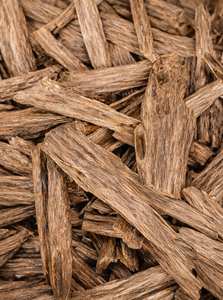 Incienso de Agarwood 100% Natural - Aromático, Ecológico, Orgánico, el Más Vendido en Vietnam, Precios al por Mayor, Agarwood Añejo, Aroma Amaderado Cálido - Product Image 6