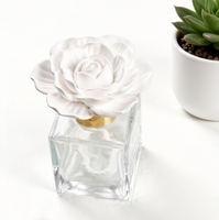 Diffuseur de parfum d'ambiance artisanal en céramique et porcelaine, flacon en verre de 100 ml, pour huiles essentielles et arômes, avec bâtonnets diffuseurs