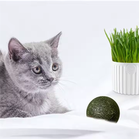 Ensemble de balles interactives pour chat, durables, écologiques, modernes et classiques, avec jouet à mâcher nettoyant pour les dents à l'herbe à chat et à l'avocat, pour chats de toutes tailles