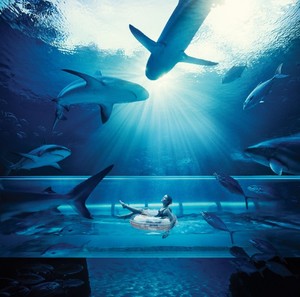 Yüksek saflıkta şeffaf <span class=keywords><strong>PMMA</strong></span> malzeme boru su tünel tüp slayt akrilik tüpler DIY su parkı - Product Image 6