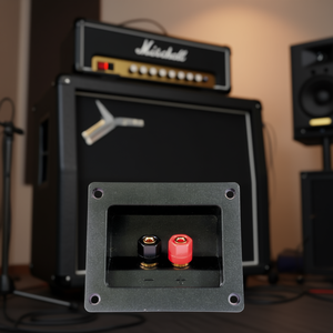 ขั้วต่อลำโพง 2 ขั้วพร้อมขั้วต่อสีแดงและสีดำสำหรับอุปกรณ์เครื่องเสียง - Product Image 3