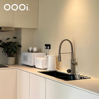 Robinet d'évier de cuisine de luxe en acier inoxydable nickel brossé Double sortie de pulvérisateur robinet de lavabo à tirette