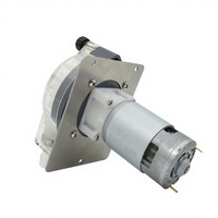 Pompe doseuse péristaltique micro LEFOO LFP403DB 24V 12V à commande CC, débit élevé 2900 min/ml pour système de dosage de traitement de l'eau