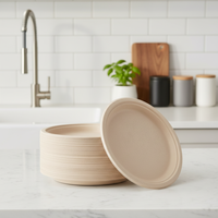 Assiettes jetables écologiques biodégradables et compostables en bagasse de canne à sucre, compatibles micro-ondes, pour restaurants et fêtes
