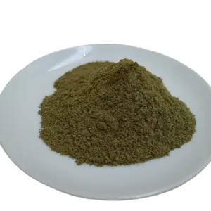 Halal Carum Carvi (Caraway) порошок Carum Carvi