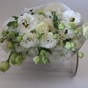 Lisianthus <span class=keywords><strong>Eustoma</strong></span> <span class=keywords><strong>Grandiflorum</strong></span> Recién Cortado al por Mayor para Ramos de Boda, 40-80 cm, <span class=keywords><strong>Eustoma</strong></span> al por Mayor, Flor de Lisianthus Cortada - Product Image 2