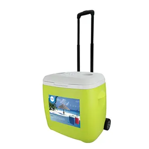 Kotak pendingin wadah es dapat dipindah berkemah keren makanan dingin piknik stok 18L termal dengan pegangan paket