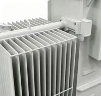 Rainbow ZGS11-W-160kVA Poste de transformations compact en boîtier, triphasé 10/0.69kV, immergé dans l'huile, pour ferme éolienne terrestre distribuée