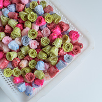 Lem Resin Epoksi Asli Mawar Abadi DIY Kit Anting Gelang Kepala Bunga Kering Asli Perhiasan Gaya Mori Ultra-Girly Eyelet