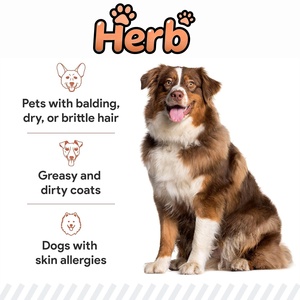 OEM ODM Private Omega for Dogs Shedding, Skin Allergy Chews, Itch Relief, Hot Spots Treatment Soft Chews - Product Image 4