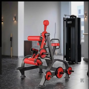 Machines à charge de plaques pour <span class=keywords><strong>hyperextension</strong></span> inversée/gluteaux, équipement de fitness - Product Image 4