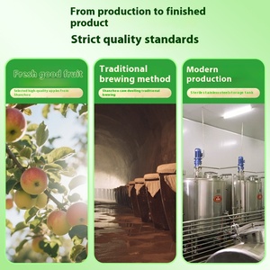 Jia's Tribute cuka G20 Apple cuka 3 tahun menyeduh 0 gula 0 lemak Non-Drink kemasan portabel 15ml * <span class=keywords><strong>20</strong></span> Pak rasa domestik - Product Image 2