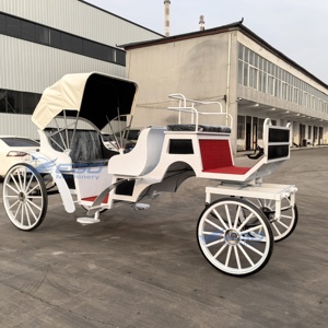 XCEGO Chariots de tourisme européens à chevaux, chariot de transport spécial du Henan - Product Image 3