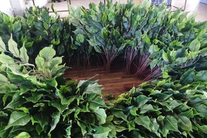 SGS certificado clasificada fuego artificial verde hojas ficus falso hoja árbol grande. - Product Image 6