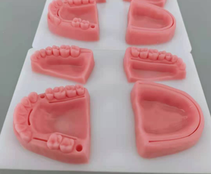 Simulateur <span class=keywords><strong>de</strong></span> chirurgie pour <span class=keywords><strong>l</strong></span>'école <span class=keywords><strong>de</strong></span> dentisterie, modèle <span class=keywords><strong>de</strong></span> Suture dentaire, Science médicale, <span class=keywords><strong>Oral</strong></span>, étudiants d'université, 230 - Product Image 2