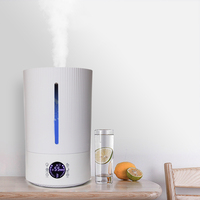 Humidificateur ultrasonique humidificateur à brume fraîche électrique 5l multifonction