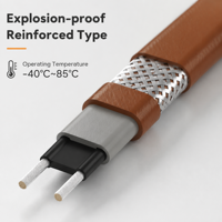 Câble chauffant auto-régulant industriel 220V pour la protection contre le gel des tuyaux, la déneigement des toits et des gouttières, ruban chauffant PTC
