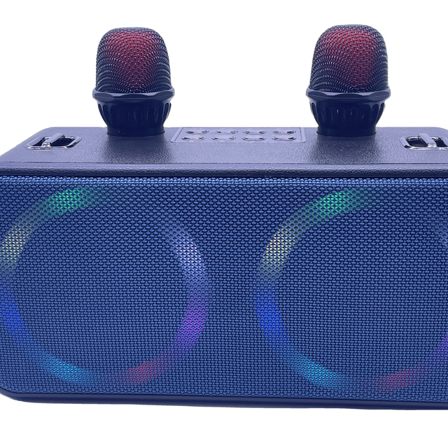 HiFi Active Double 3 4 5 6.5 Inch Portable Speaker With Microphone Subwoofer Blue Tooth SD AUX USB FM Radio DJ Party Audio