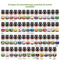 Huile d'aromathérapie pour la maison 10 ml, soluble dans l'eau, avec bouchon à tête large, pour humidificateur, huile essentielle parfumée pour la maison et la voiture