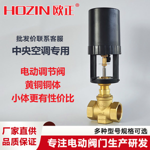 Vanne de régulation électrique en laiton DN50, type proportionnel intégré, pour le traitement des eaux usées - Product Image 5