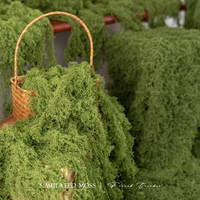 Mousse artificielle verte en plastique haut de gamme, fausse verdure pour aménagement paysager, terrariums, accessoires décoratifs pour photos, ornements